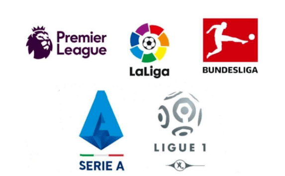 说明他们并 说明他们并